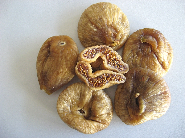 Feigen